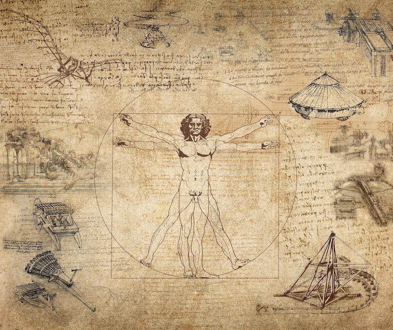 Leonardo da Vinci drawings